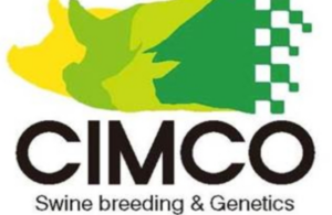 株式会社シムコ